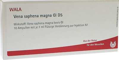 VENA SAPHENA magna GL D 5 Ampullen