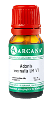 ADONIS VERNALIS LM 6 Dilution