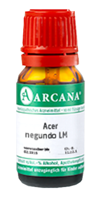 ACER negundo LM 1 Dilution