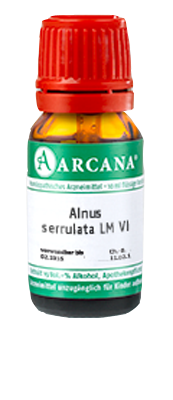 ALNUS SERRULATA LM 6 Dilution