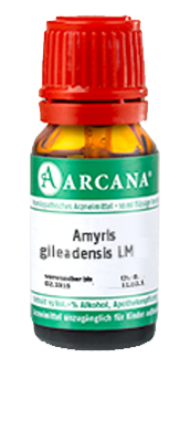 AMYRIS gileadensis LM 7 Dilution