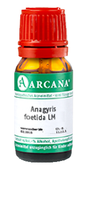 ANAGYRIS foetida LM 110 Dilution