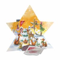 H&S Adventskalender Stern Filterbeutel